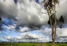 伯利兹女足在比赛中展现出不畏强敌的拼搏精神