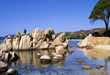 黑贝大爆发，一人挑倒全队！网队喜获胜利