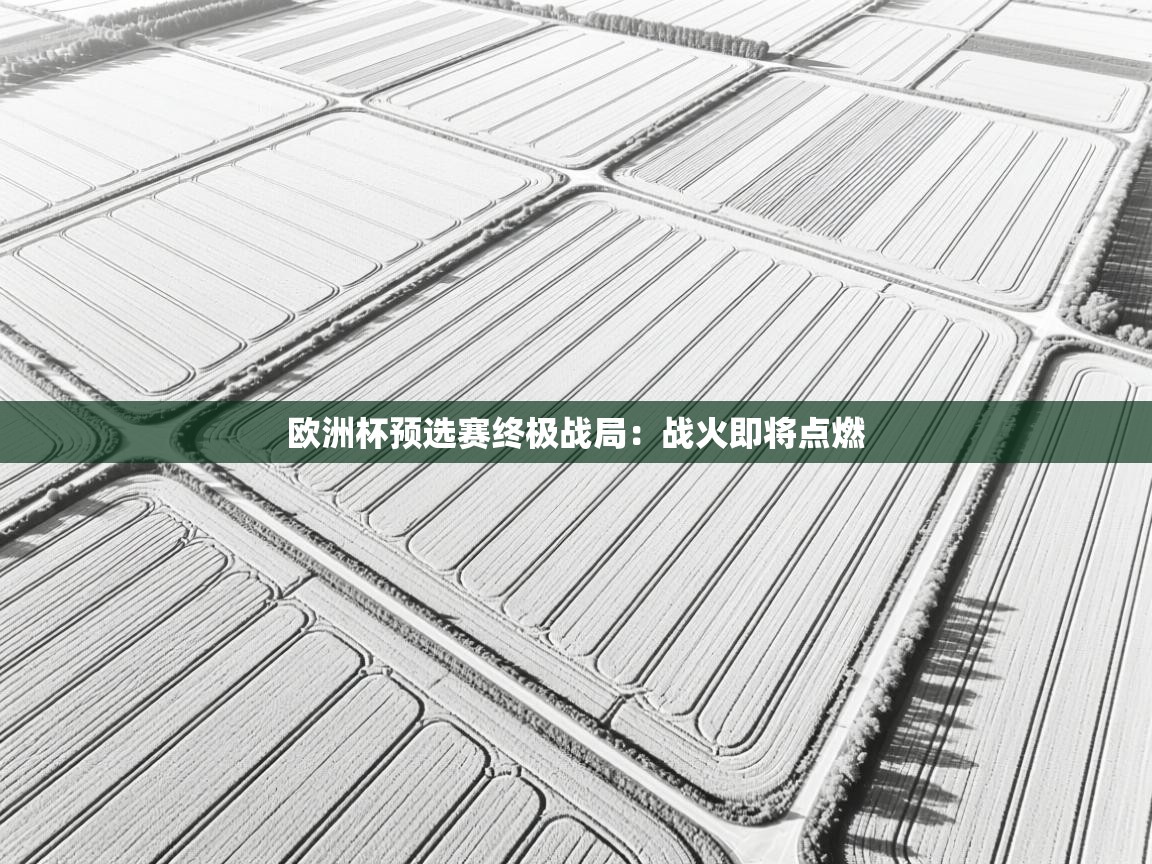 欧洲杯预选赛终极战局：战火即将点燃  第1张