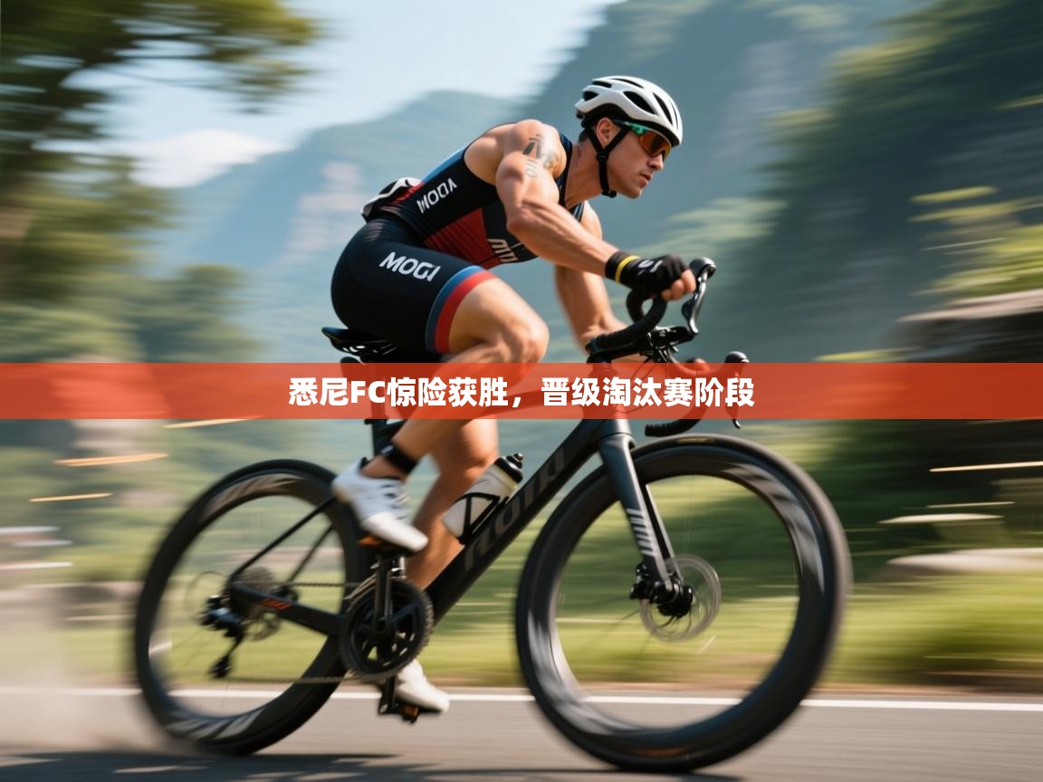 悉尼FC惊险获胜，晋级淘汰赛阶段