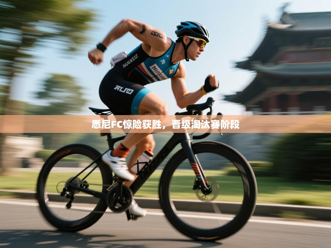 悉尼FC惊险获胜，晋级淘汰赛阶段  第2张