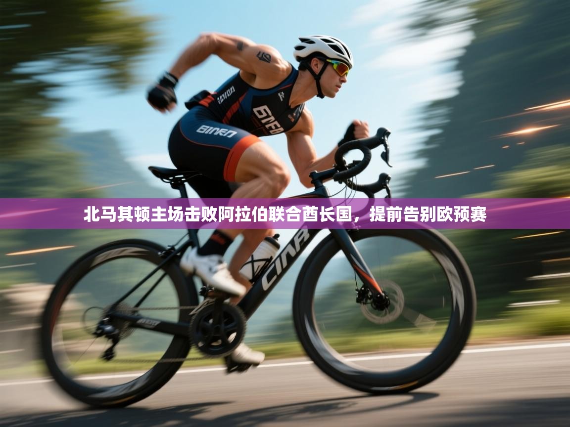 北马其顿主场击败阿拉伯联合酋长国，提前告别欧预赛  第2张