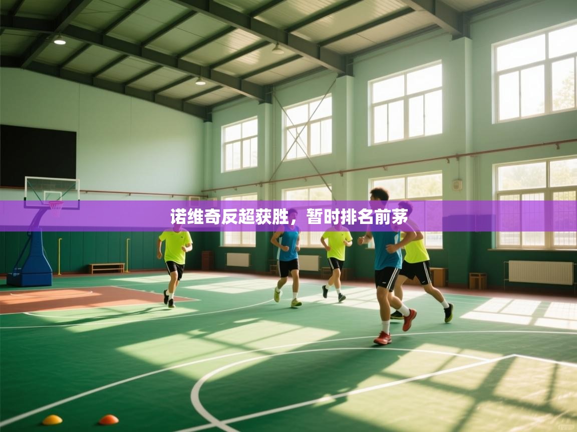 诺维奇反超获胜，暂时排名前茅  第2张